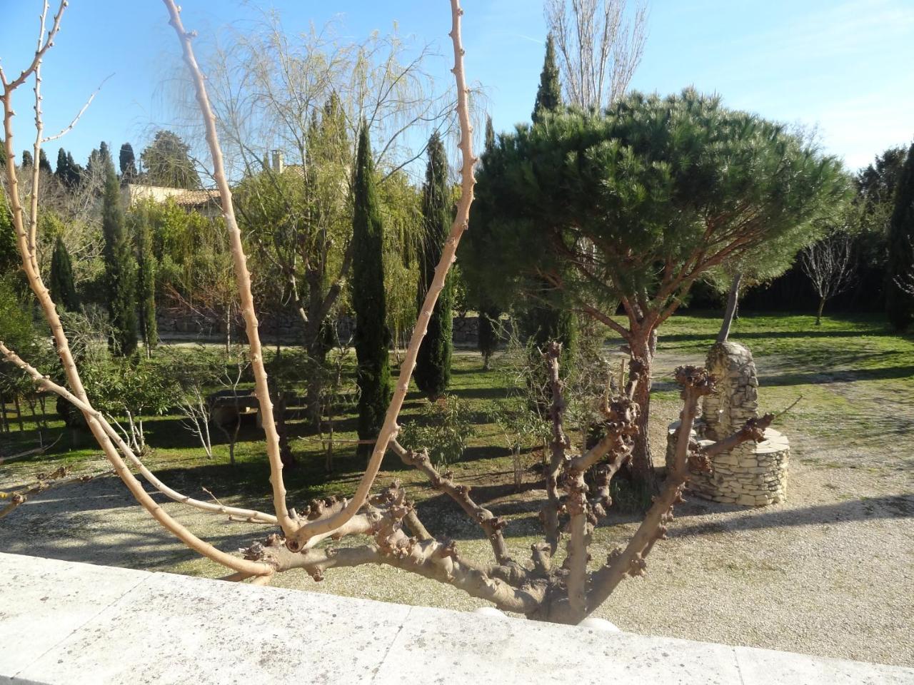 Locations Des Alpilles Apartamento Saint-Rémy-de-Provence Exterior foto